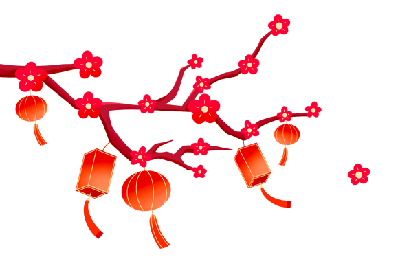20250120115156_4426